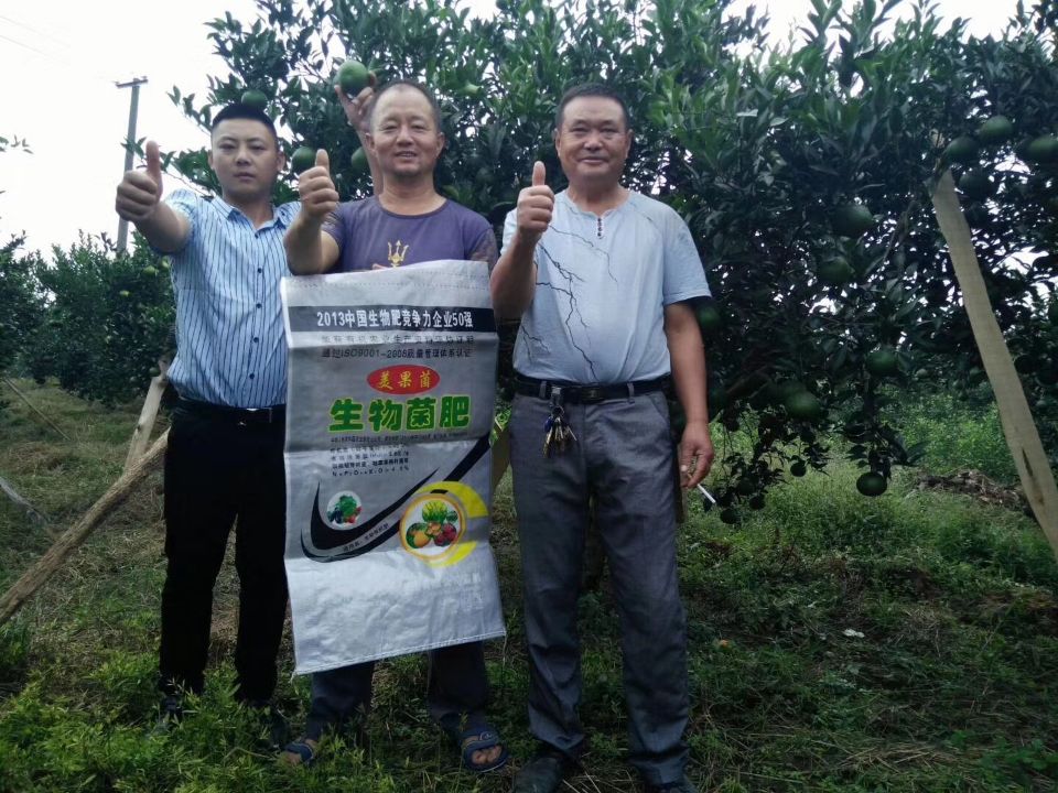 生物有机肥效果回馈