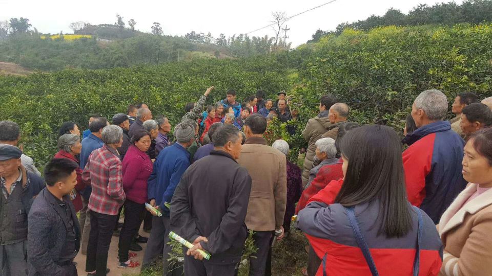盖尔盖司销售人员下乡宣传生物有机肥知识