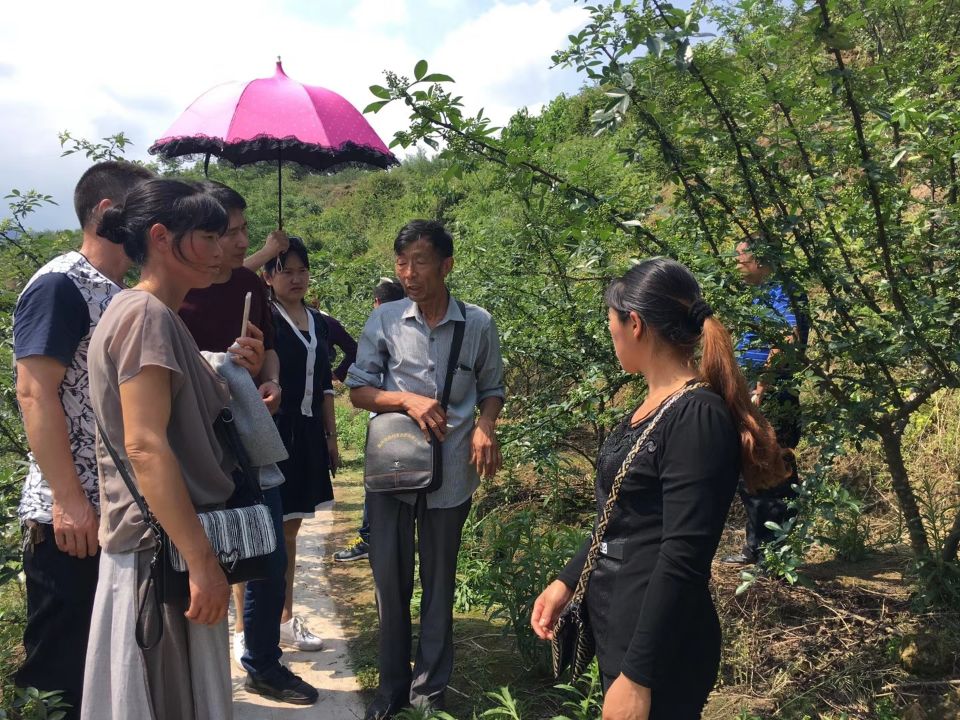 盖尔盖司销售人员下乡宣传生物有机肥知识
